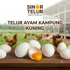 telur ayam kampung kuning ( per butir )